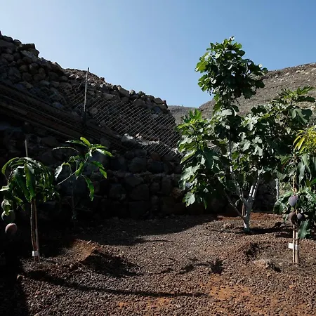 Candelaria's Mountain House *